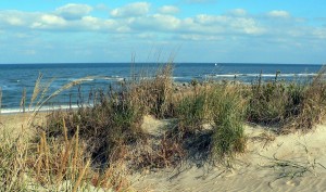 virginia beach car insurance