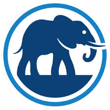 elephant auto insurance review